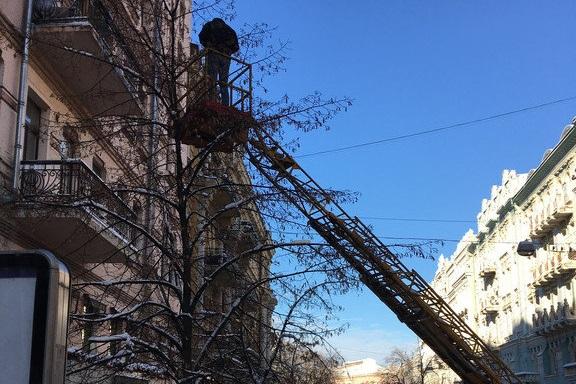 Монтаж светильников на дерево