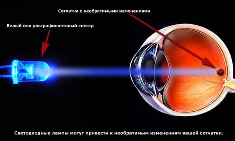 Вред белого светодиодного света